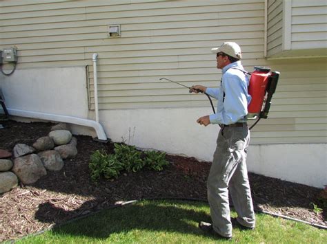 what to spray around house for bugs and why we should always be mindful of our surroundings